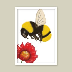 Busy Bee & Wild Bloom