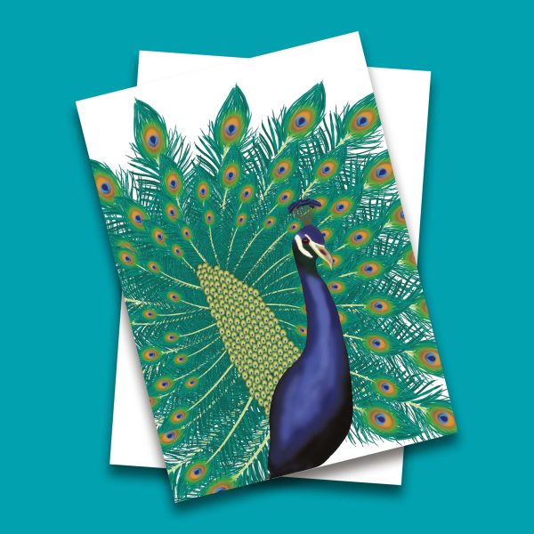 Peacock Greeting Card